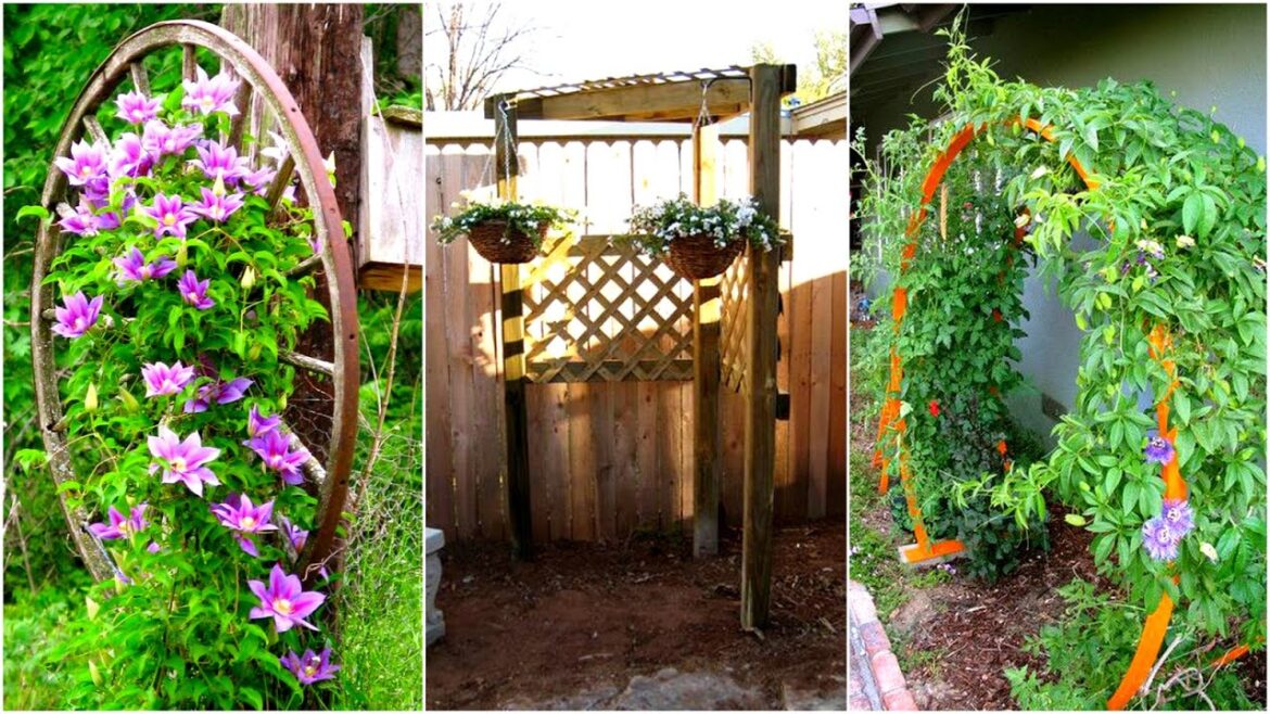 52 Garden Trellis Ideas for your Backyard! Garden Ideas