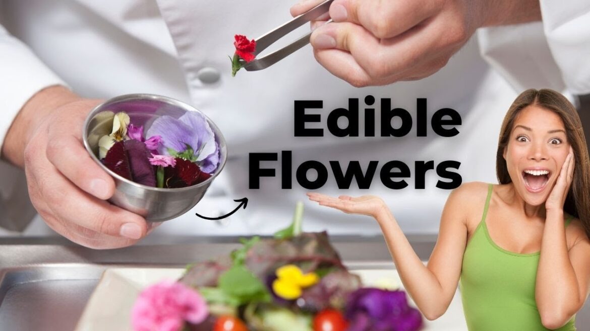Edible Flowers: Transform Your Garden with Vibrant Colors and Flavors Edible Flowers: Transform Your Garden with Vibrant Colors and Flavors