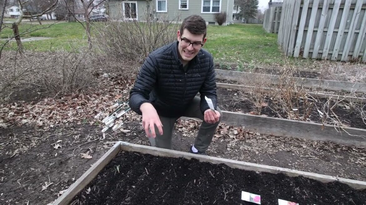 MIgardener: Everything We Started Directly In The Garden Right NOW For MARCH Everything We Started Directly In The Garden Right NOW For MARCH