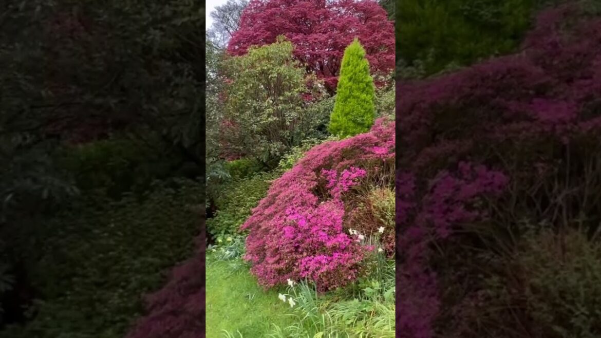 Rydal Mount | Historic Home Gardens of William Wordsworth