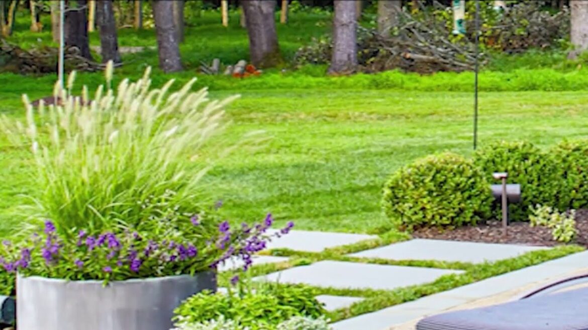 Spring garden and backyard design trends for 2024 | NBC4 Washington Spring garden and backyard design trends for 2024 | NBC4 Washington
