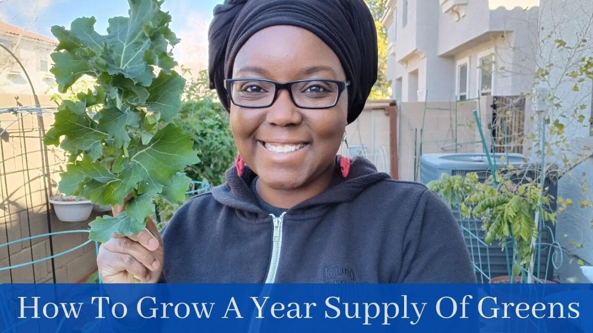 How To Grow A Year Supply Of Greens In A Small Space How To Grow A Year Supply Of Greens In A Small Space