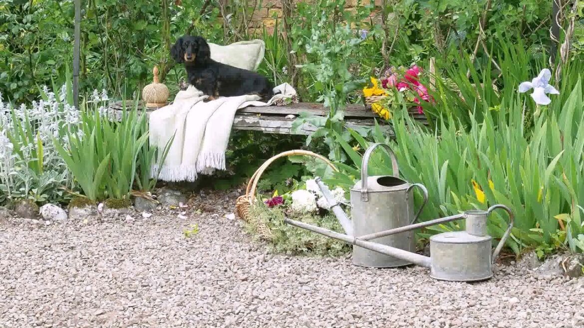Garden Design Ideas With Gravel