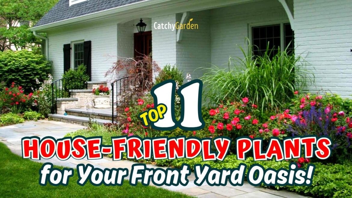 Top 11 House-Friendly Plants for Your Front Yard Oasis! 🌷🏡😍🌻 // Gardening Ideas