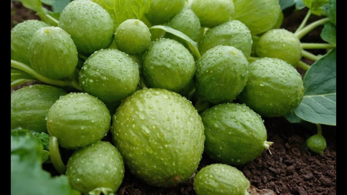 Unusual Edible Plants to Grow in Your Garden: Beyond Veggies! Unusual Edible Plants to Grow in Your Garden: Beyond Veggies!