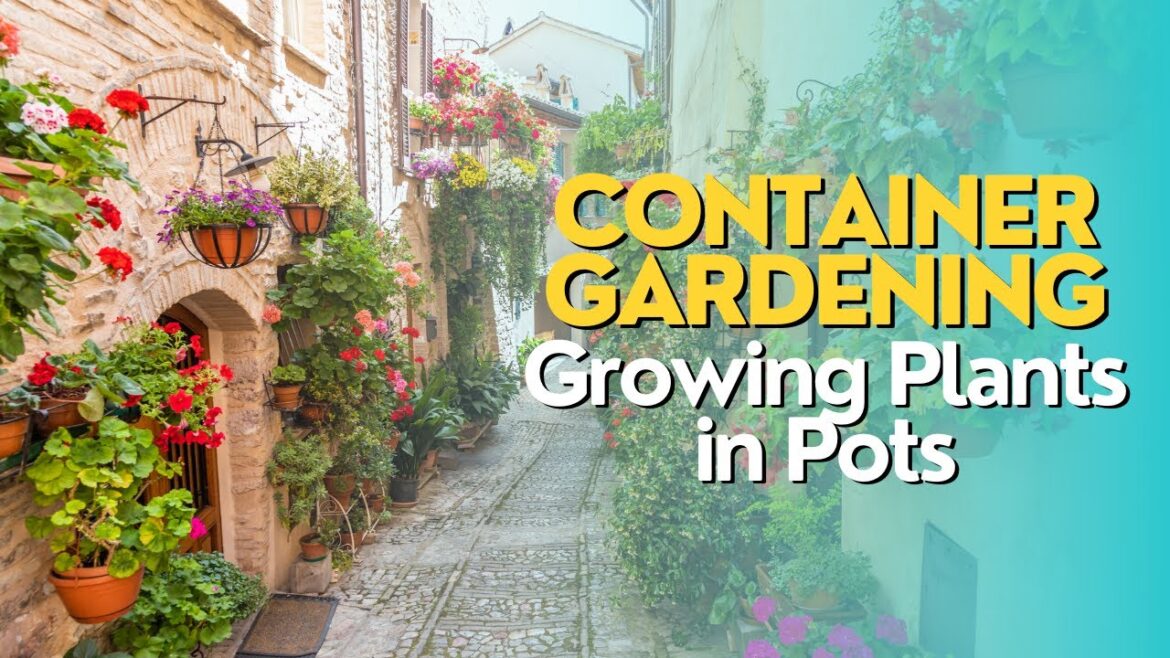 Container Gardening: Growing Plants in Pots