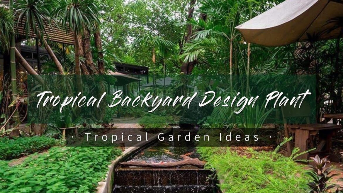 Tropical Backyard Design Plant | Tropical Garden Ideas | Tropical Backyard