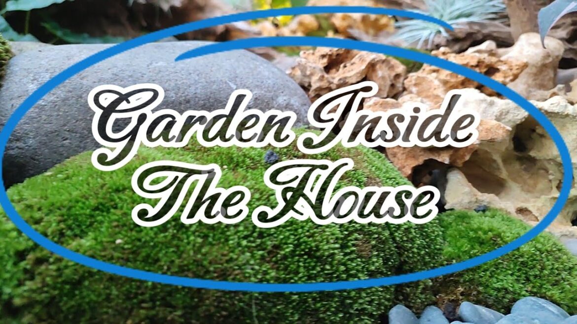 Landscaping Private Idea Garden || idea Design Fish pond indoor