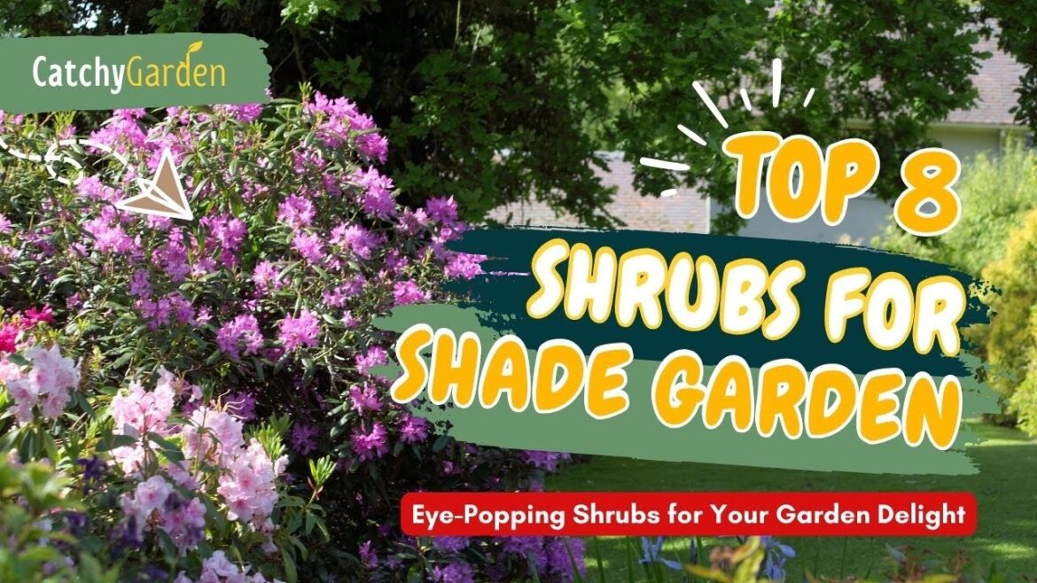 Unlock the Beauty of Shade: 8 Eye-Popping Shrubs for Your Garden Delight! πΉπΊπ· Unlock the Beauty of Shade: 8 Eye-Popping Shrubs for Your Garden Delight! πΉπΊπ·