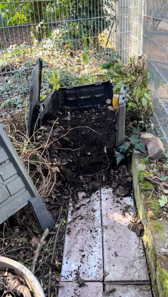 🔥 Temperature 🔥