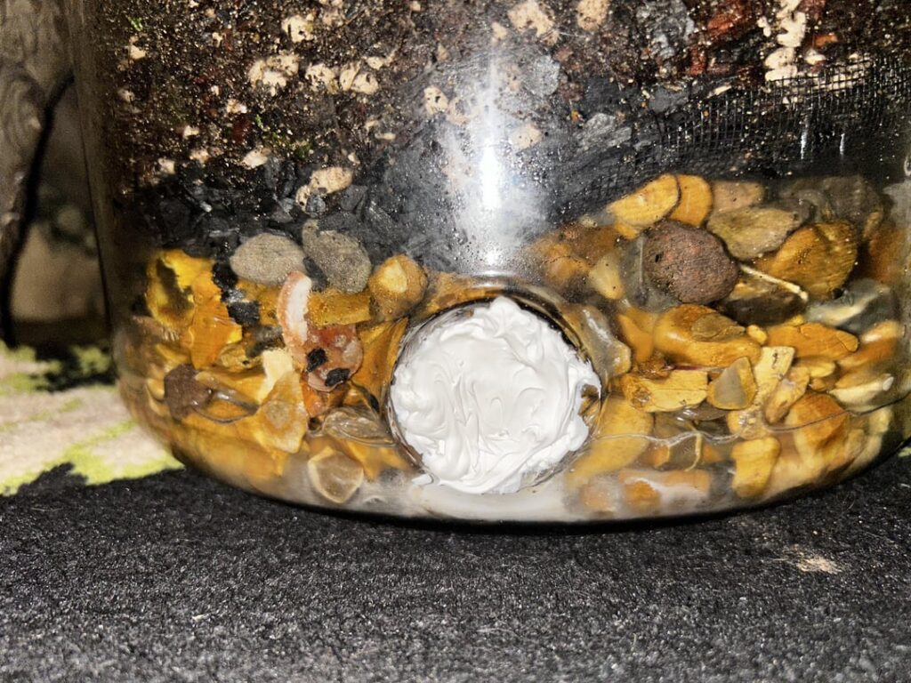 I put a cork in this hole and then the sealant over it and it was fine at the time but now 12 days later it looks like it’s leaked in? Will my sealed terrarium be ok I think it’s in the water?