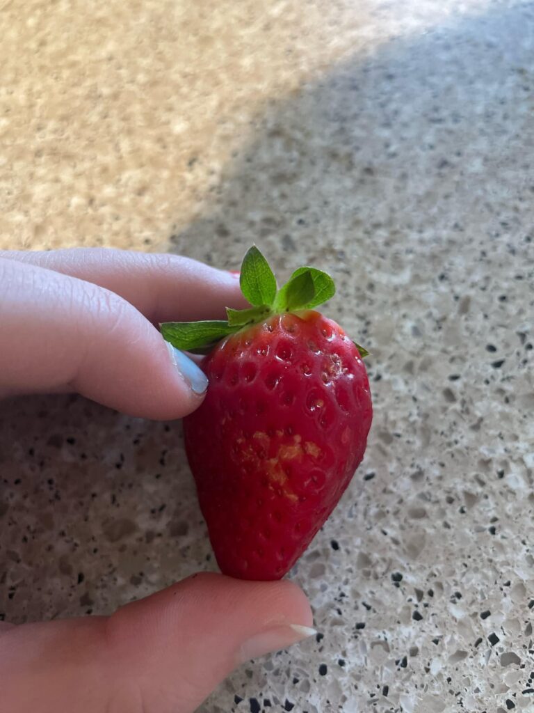 Why do my store bought strawberries look like this?