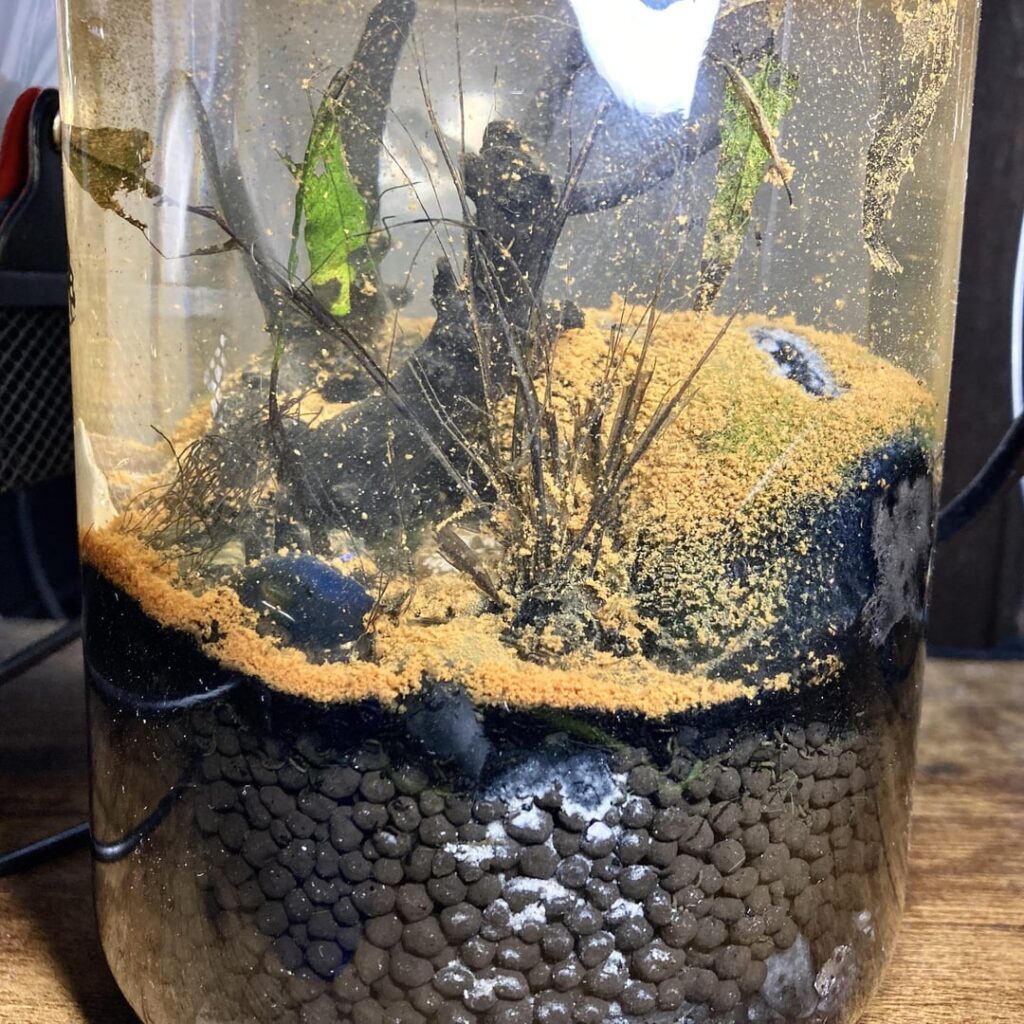 Can anything be done to save these jars or are they too far gone?