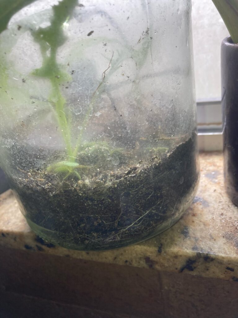 For the first time, it’s going good