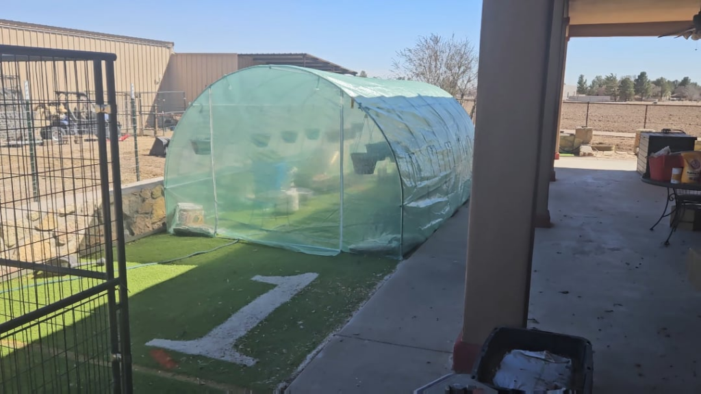 Greenhouse Review