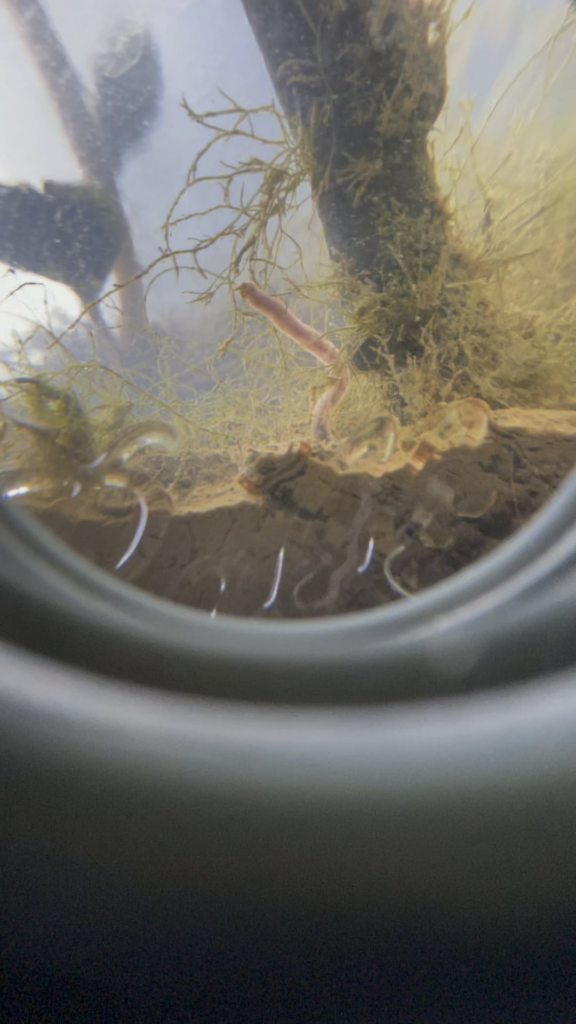 What is this?