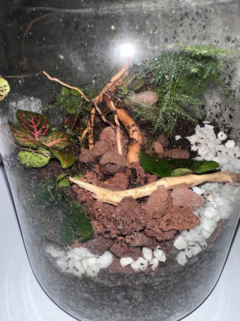 New ecosphere