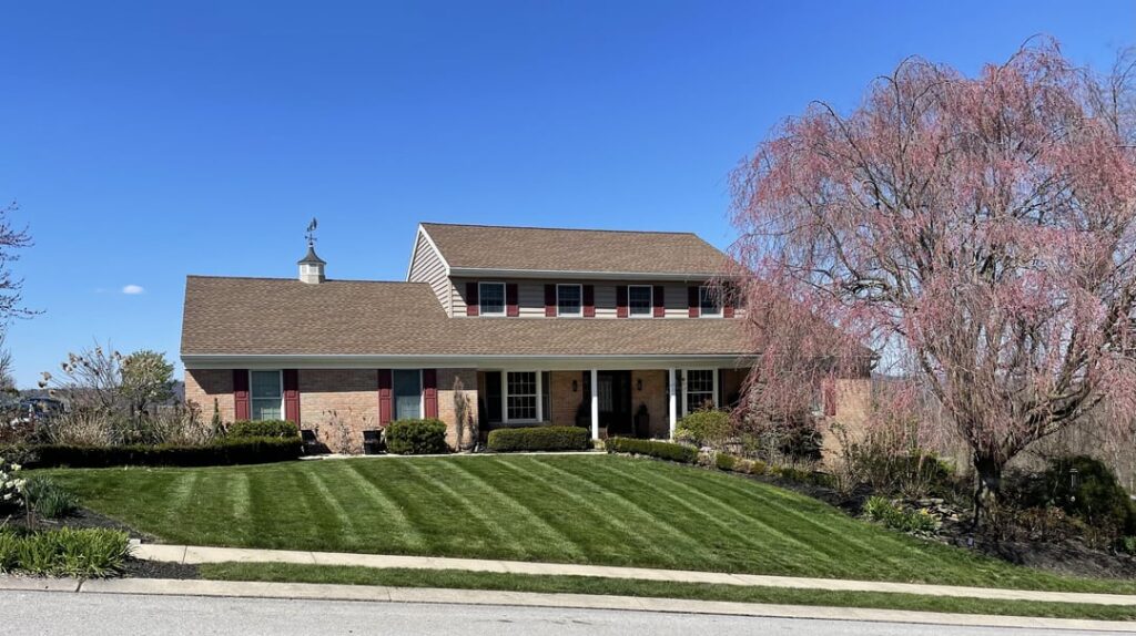 First cuts of the year