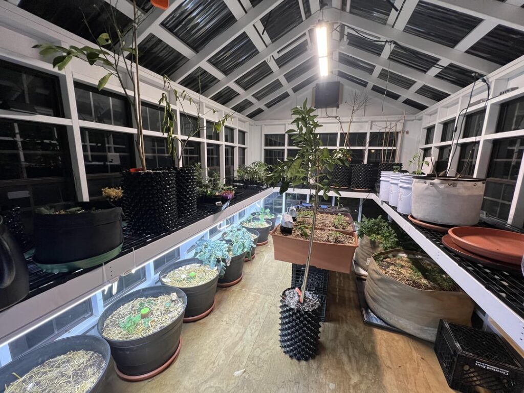 Tips on irrigating a mixed light greenhouse