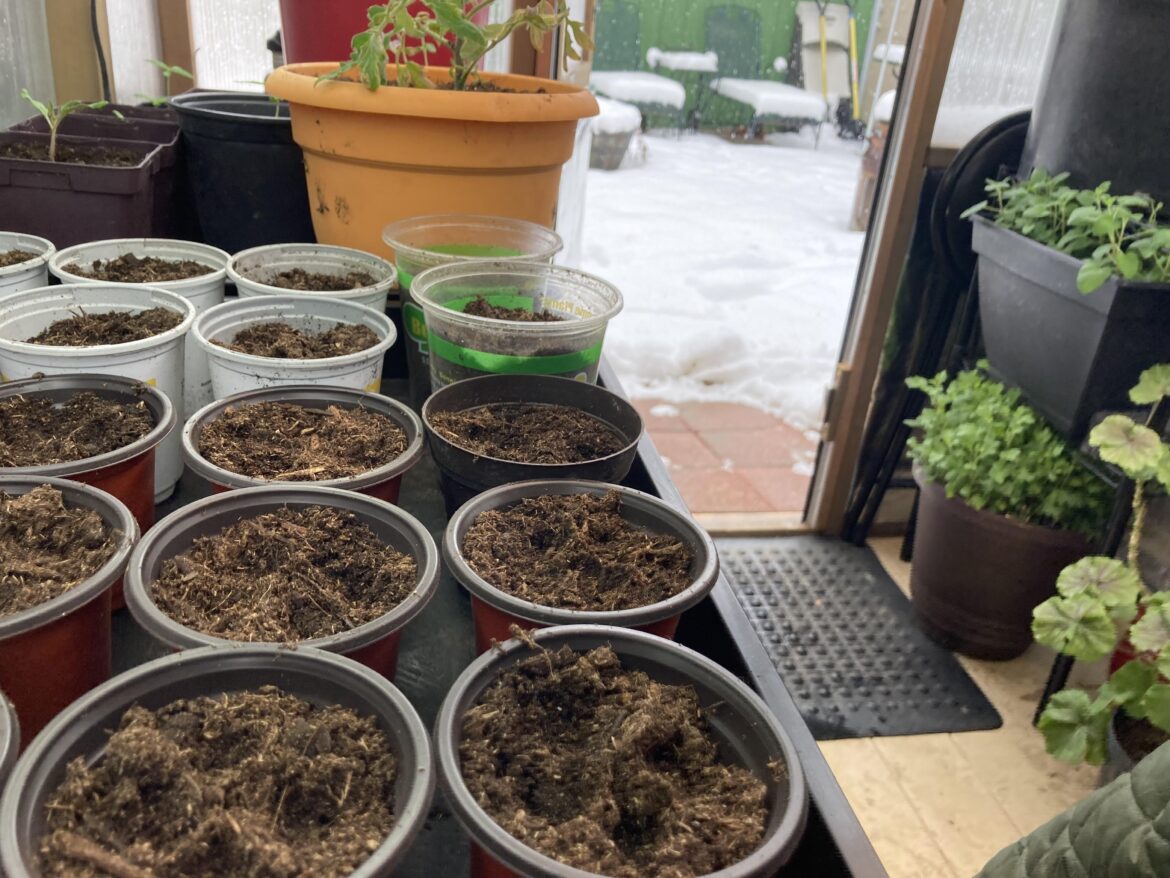 Looking out for spring