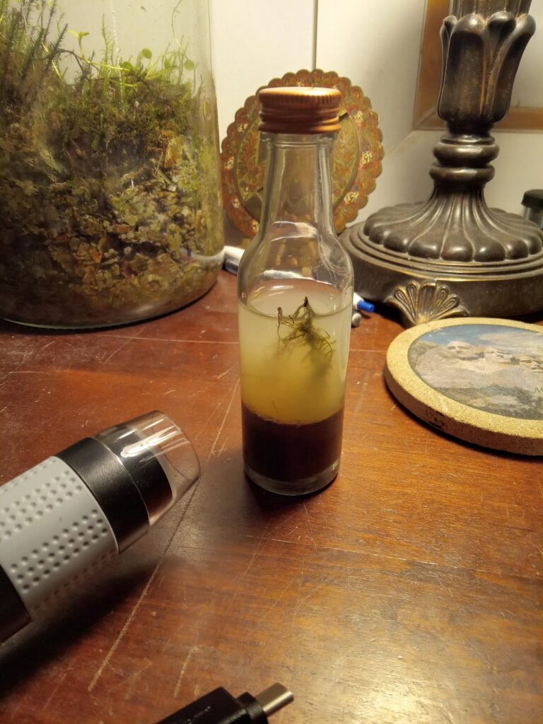 Very Tiny Experimental Bottle