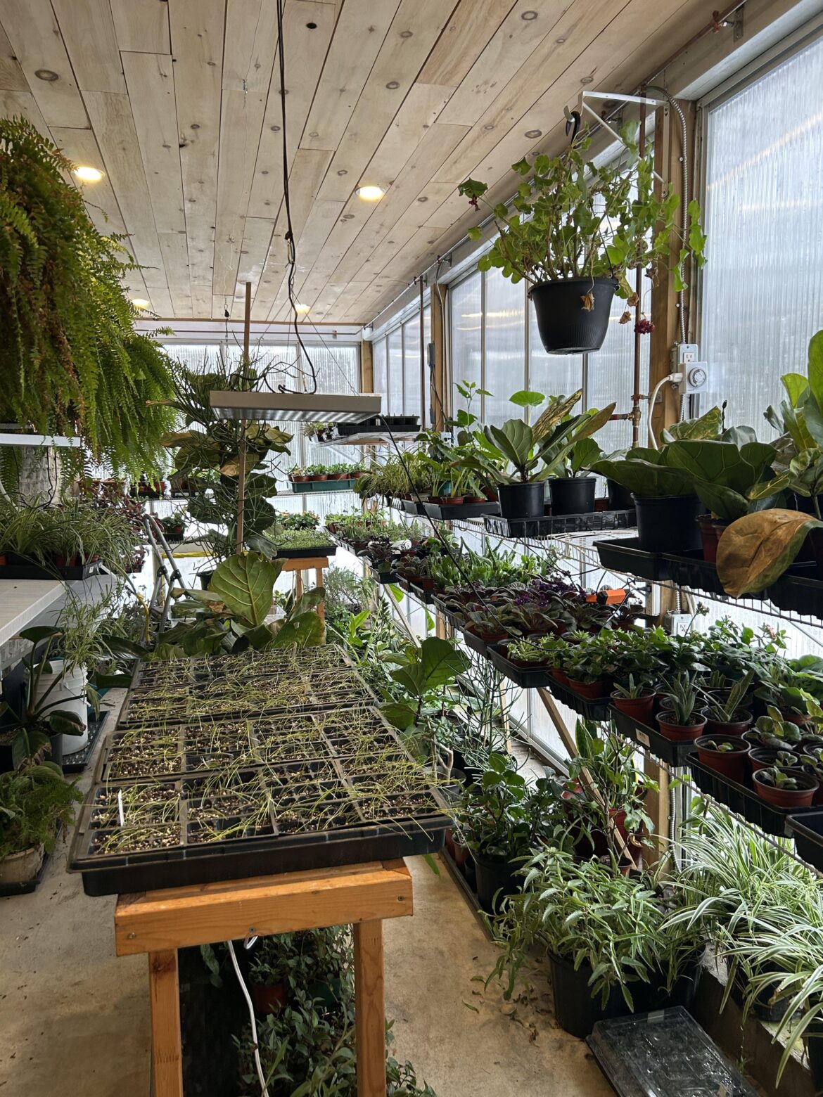 My sanctuary