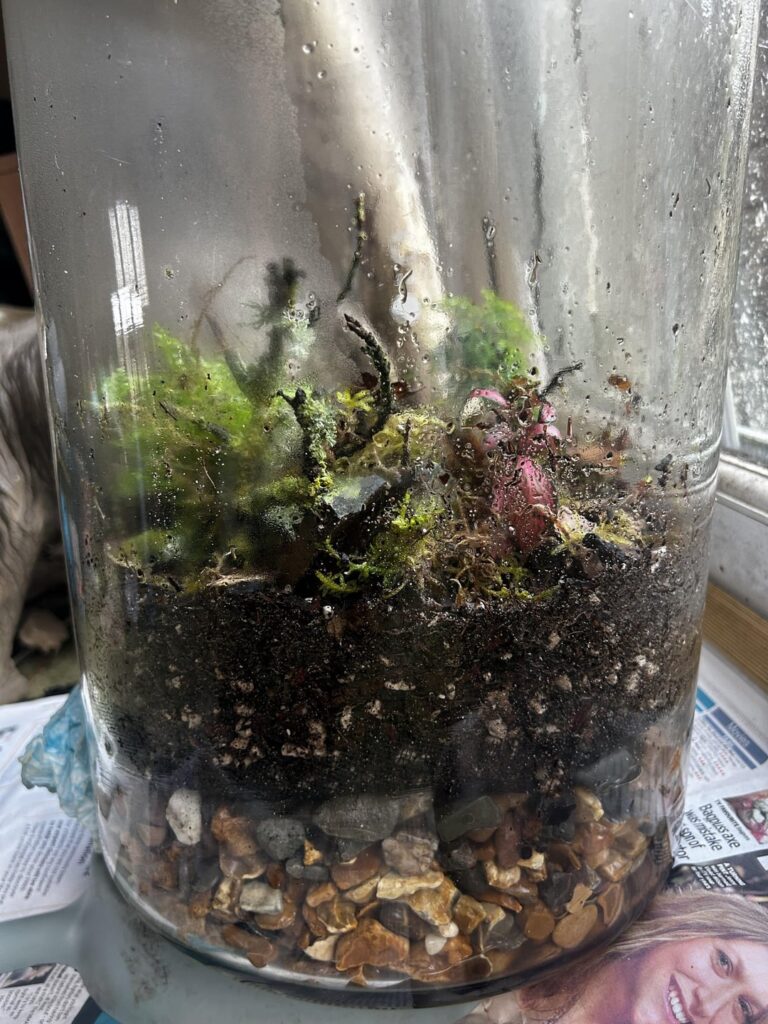 Does anything look wrong with it this? Plug for the bottom hasn’t come yet but the drainage layer looks quite thick does that matter? And should there be water sitting at the bottom?