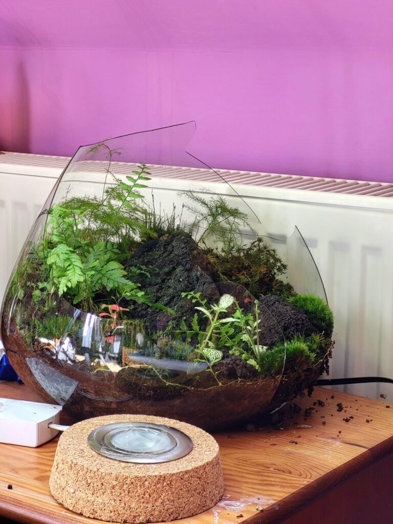 My cat just broke my 7 months old ecosphere.
