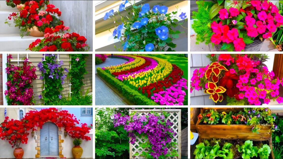 400 Best Garden Planter Ideas for Backyard! Container Garden Ideas You Must See....