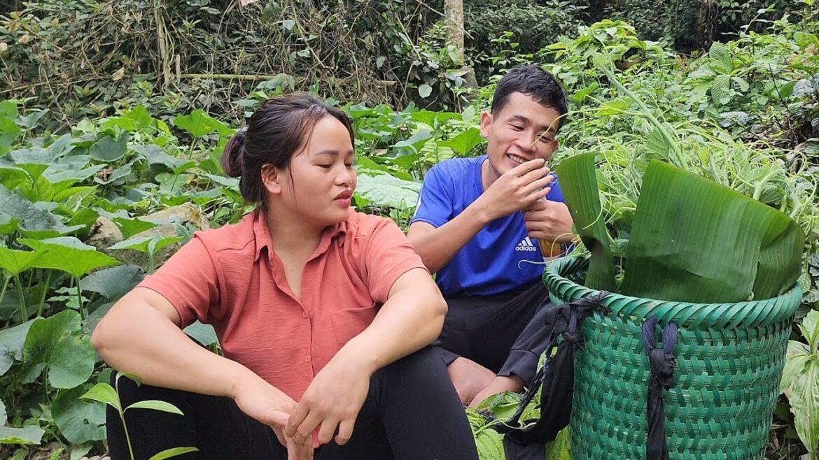 30-year-old pregnant mother and her husband harvest vegetables to sell and garden