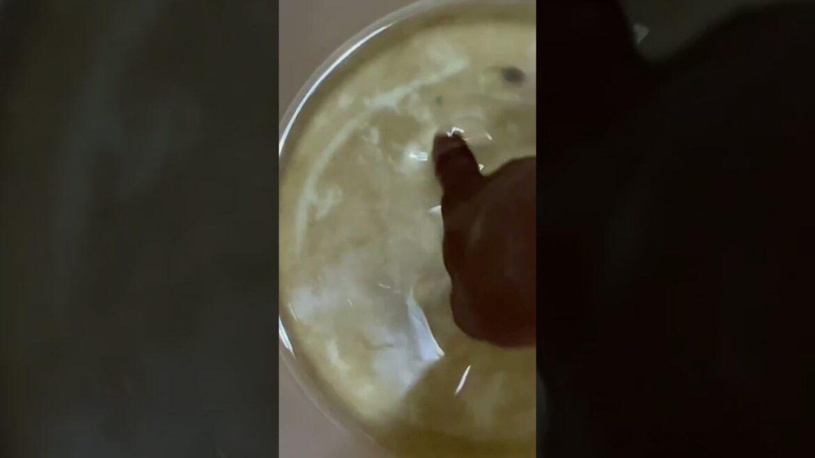 Guess what came out of my water spout #gardening #garden