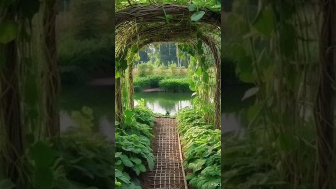 Outdoor Garden Idae #gardenideas #gardendesign #gardening #gardeningtips