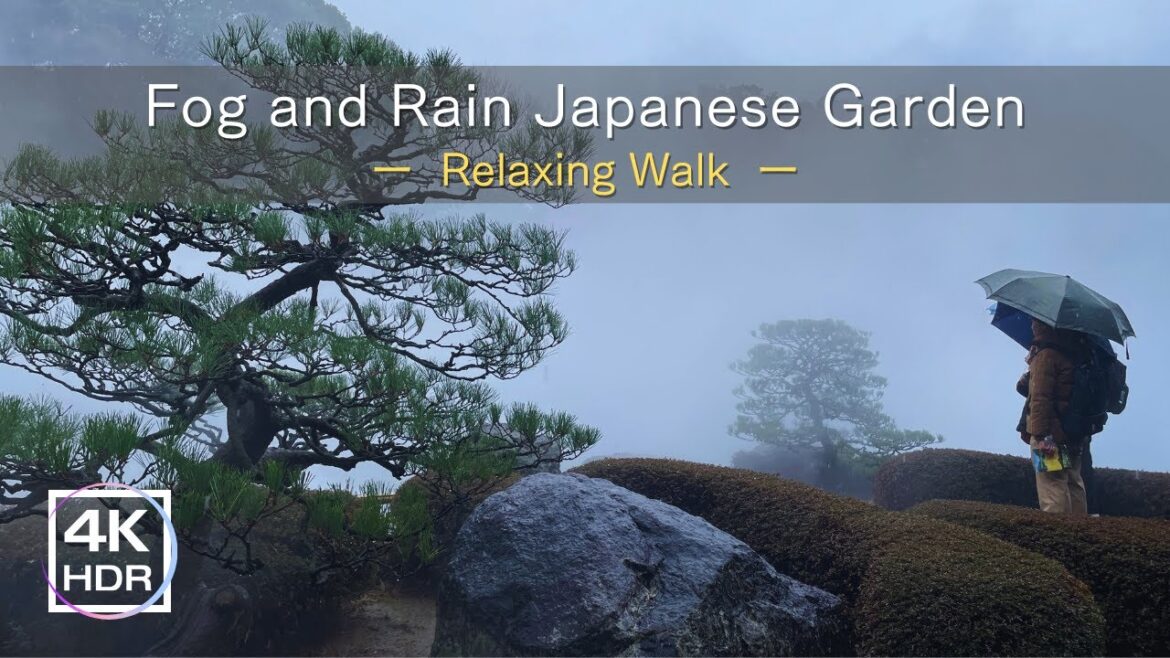 Relaxing Walk in the Rain Binaural Ambience Sounds in Foggy Japanese Garden | Fukuoka Ohori Park Relaxing Walk in the Rain Binaural Ambience Sounds in Foggy Japanese Garden | Fukuoka Ohori Park