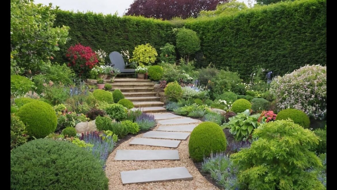 How to Create a Low-Maintenance Garden for Lazy Gardeners! How to Create a Low-Maintenance Garden for Lazy Gardeners!