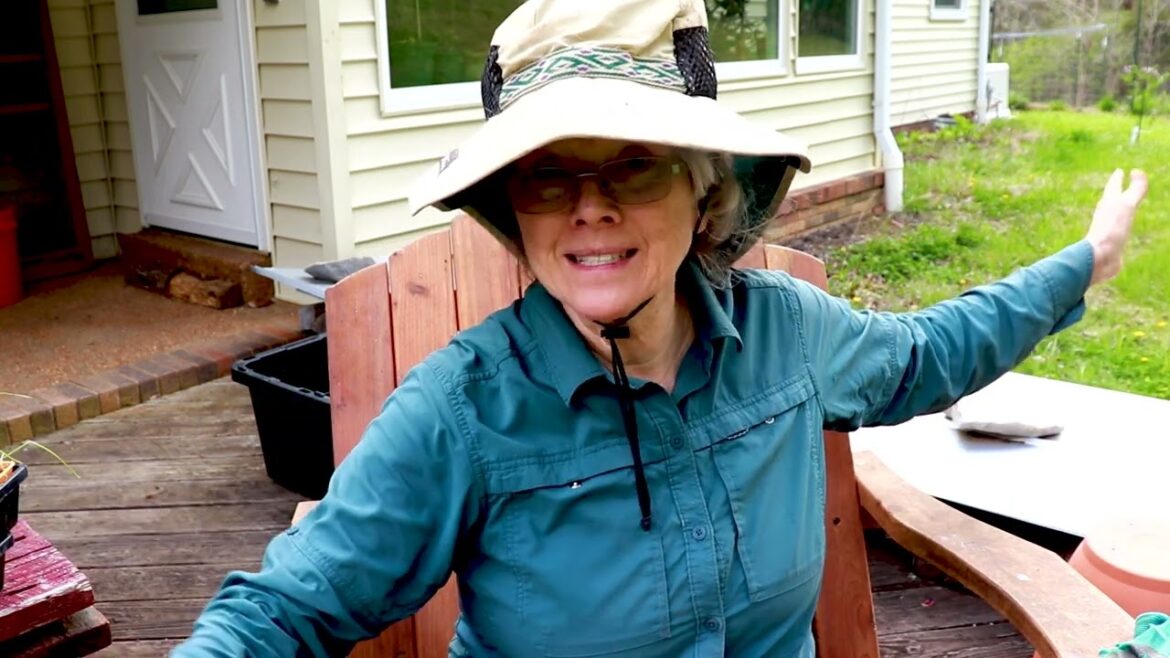 Is it TOO LATE?? Planting onions and cabbages | Meditation