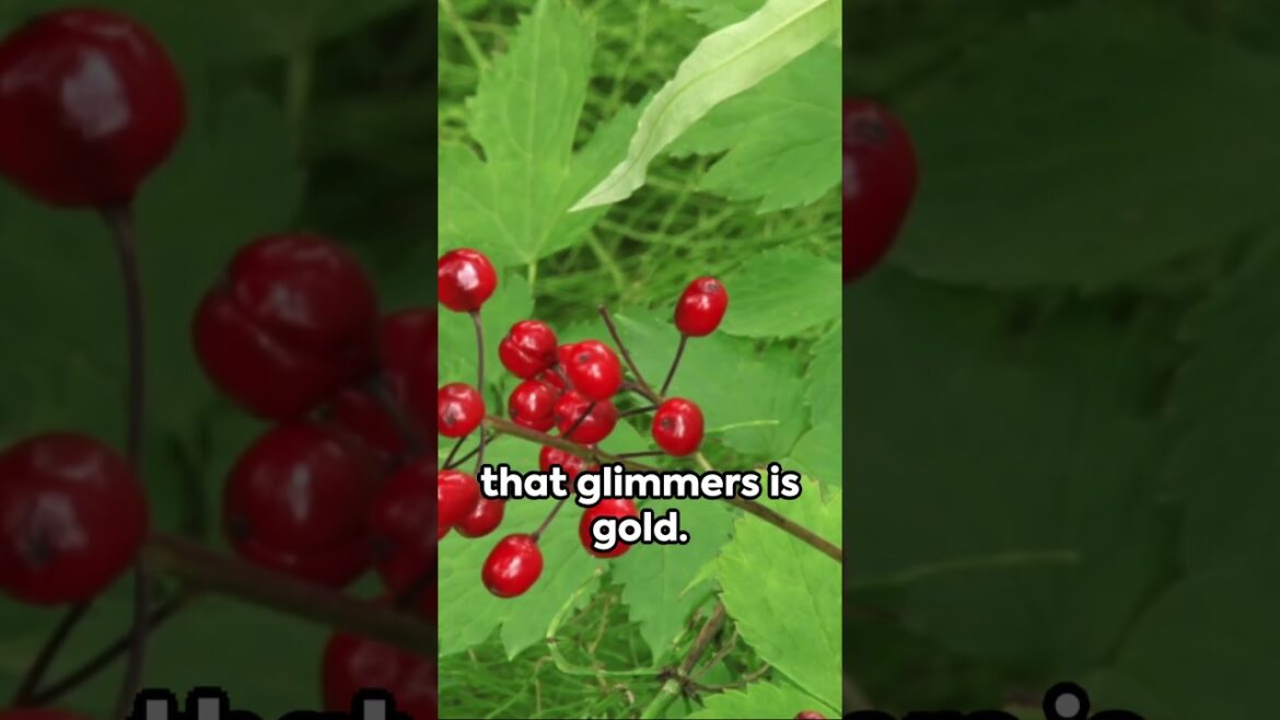 Edible Wilderness Plant Identification To eat