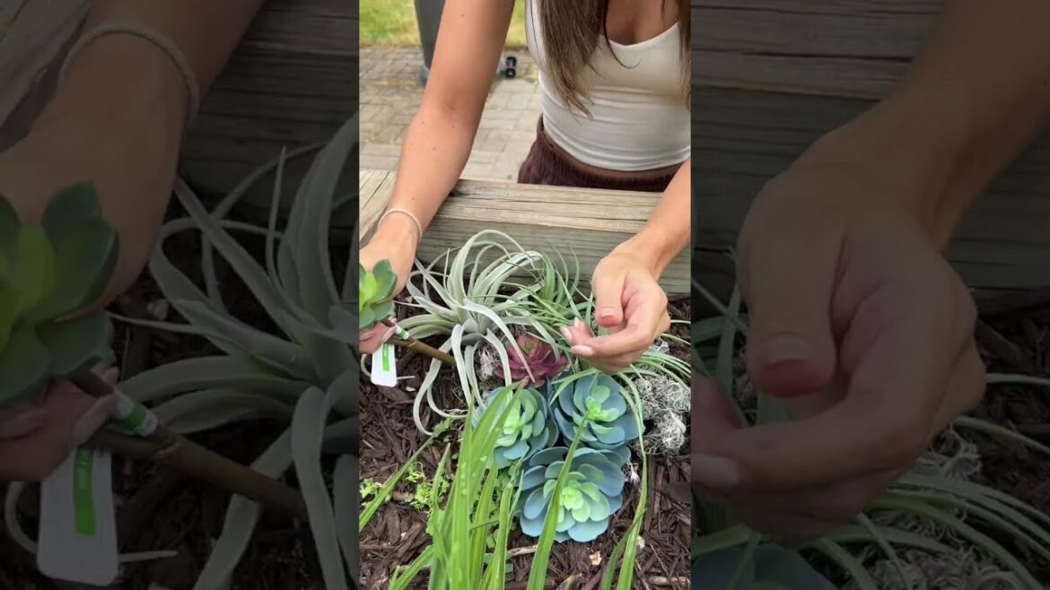 AMAZING Hack For Your Spring Garden🌸🌻