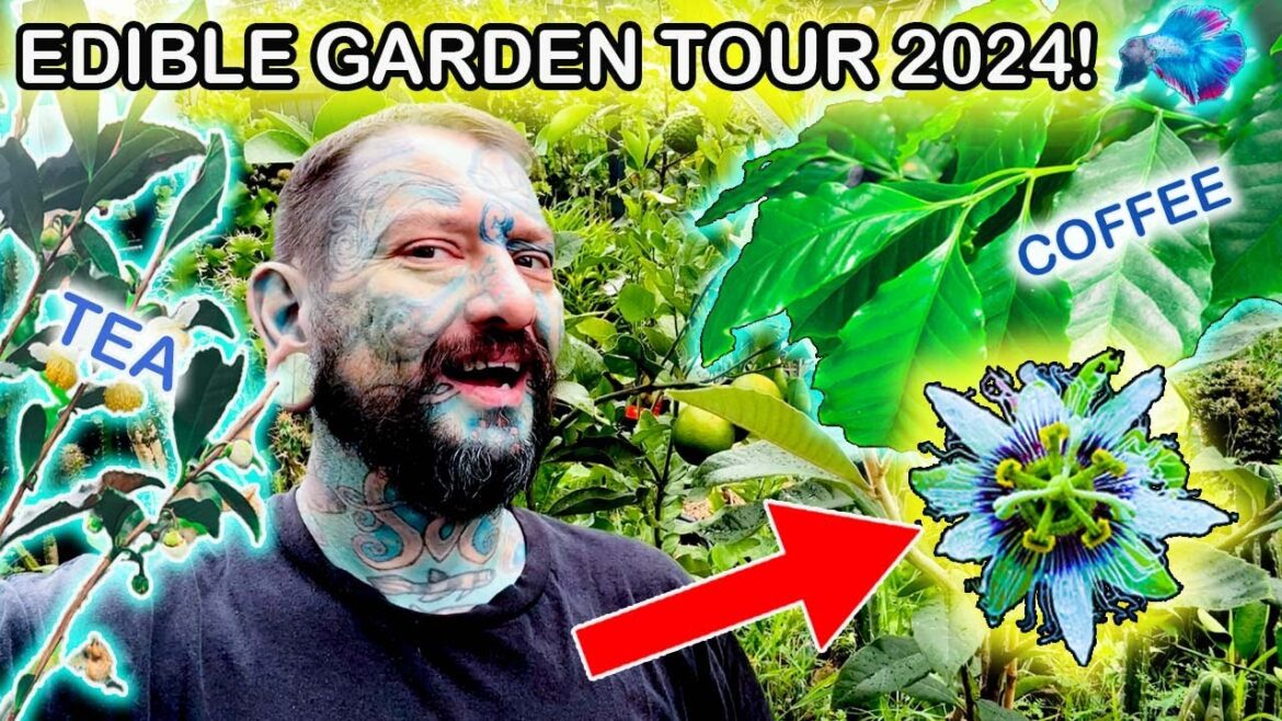 MY CRAZY EDIBLE GARDEN TOUR! *MARCH 2024*