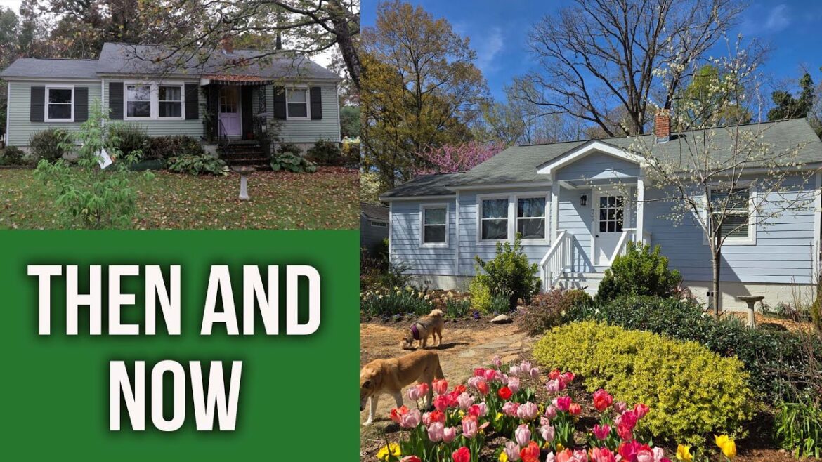 Garden Odd Jobs and Cool Plants Garden Odd Jobs and Cool Plants