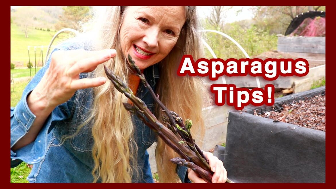 HUGE Garden Tour, Asparagus Tips + Enlightening Book!