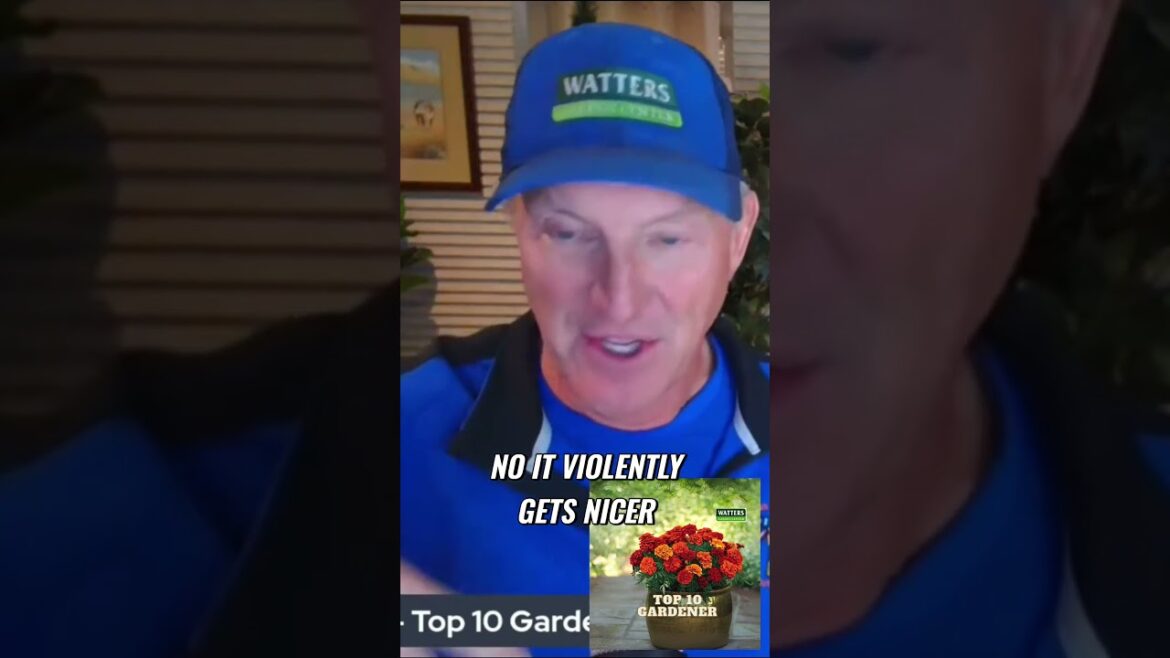 Violent Transition to Spring Unpredictable Weather Patterns Explained Violent Transition to Spring Unpredictable Weather Patterns Explained