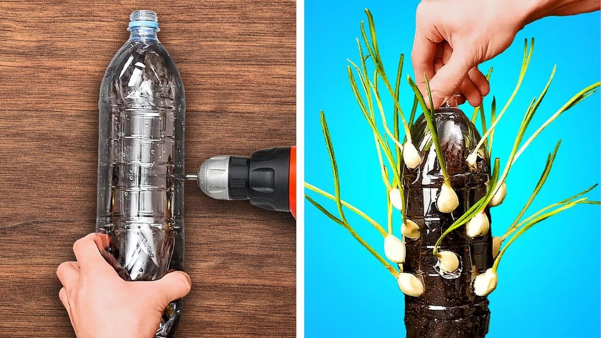 Easy Hacks for Your Home Garden