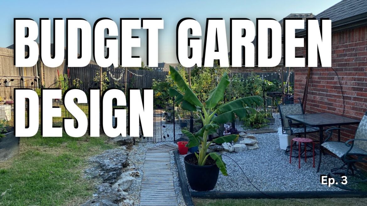 Extreme Backyard Makeover on a BUDGET -  Ep. 3 Organic Garden
