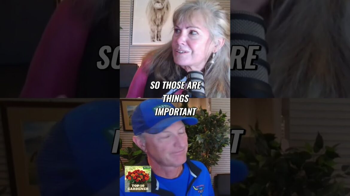 Create the Perfect Perennial Garden