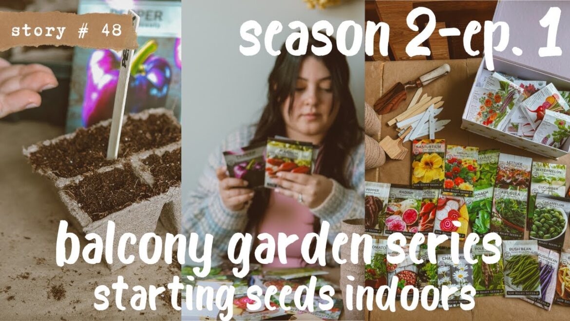 👩🏻🌾 Starting Seeds Indoors | BALCONY VEGETABLE GARDEN | Container Gardening Small Spaces S2 PART 1 👩🏻🌾 Starting Seeds Indoors | BALCONY VEGETABLE GARDEN | Container Gardening Small Spaces S2 PART 1