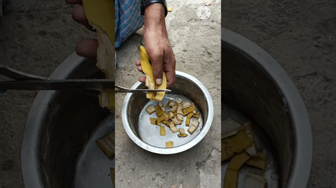 Viral Tips fertilizer from banana peels#shorts #shortvideo #trending #gardening #natural #flower Viral Tips fertilizer from banana peels#shorts #shortvideo #trending #gardening #natural #flower