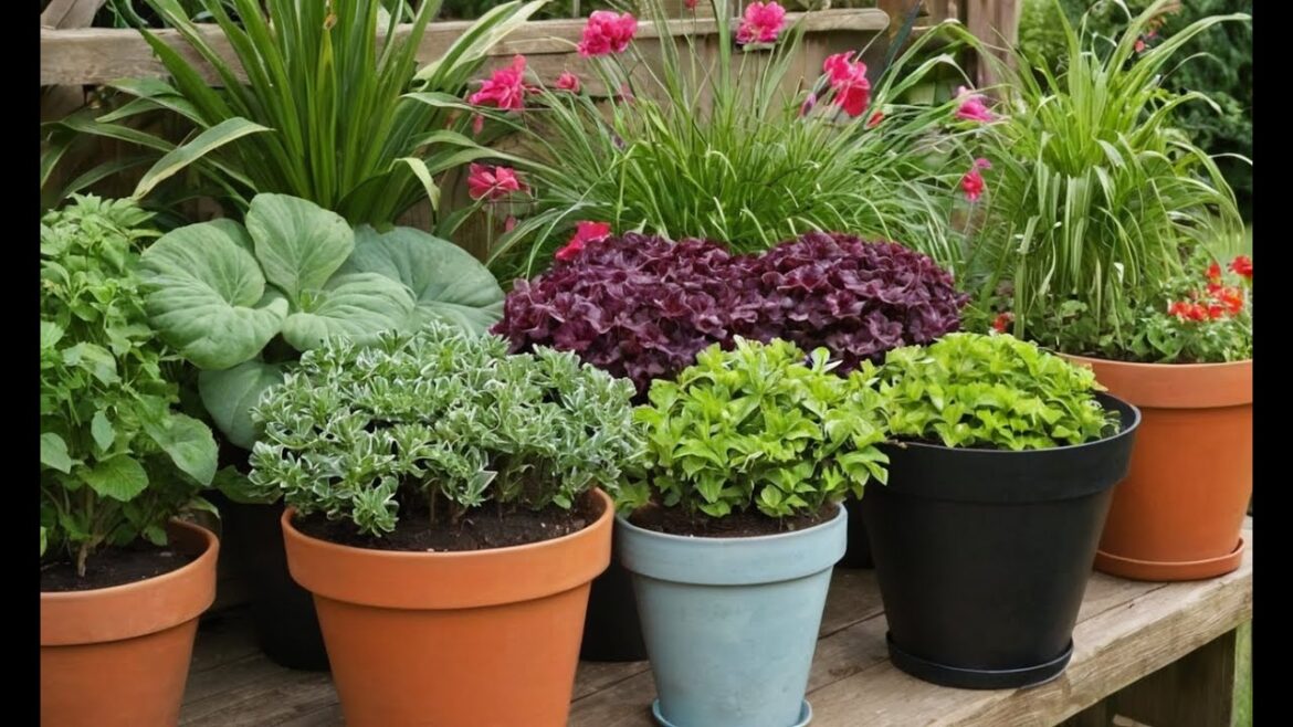 Container Gardening: Grow Anywhere with These Tips!