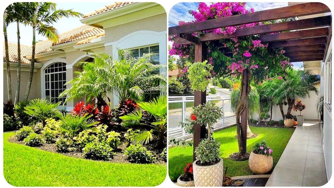 beautiful front yard landscaping ideas|| front home decoration Lounch || Colour full flower ideas