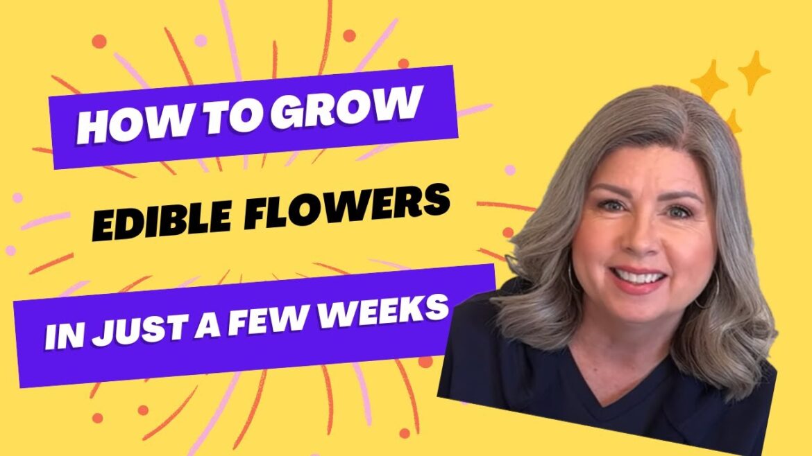 How to grow these beautiful, edible flowers from seed!