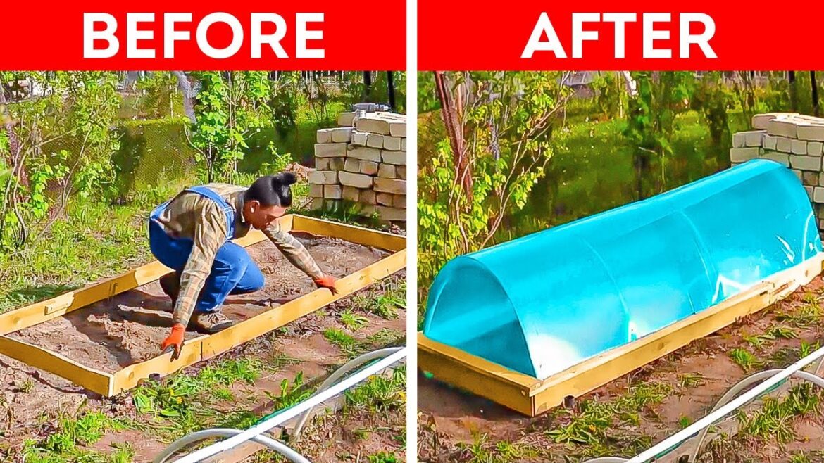How to Make a DIY Greenhouse: Incredible Gardening Hacks for Beginners How to Make a DIY Greenhouse: Incredible Gardening Hacks for Beginners